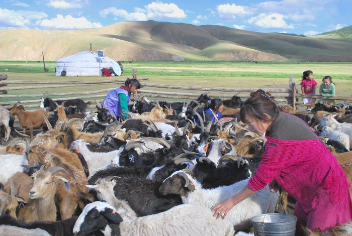 A l'Ã©cole des Andes - Campement nomade,Tariat, Arrhangai.