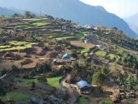   terrasses a Chaurirharka NepalMongolie