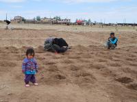 les jardins du dsitrict 1 news 26 Mongolie invisible